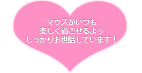 マウスがいつも楽しく過ごせるようしっかりお世話しています！